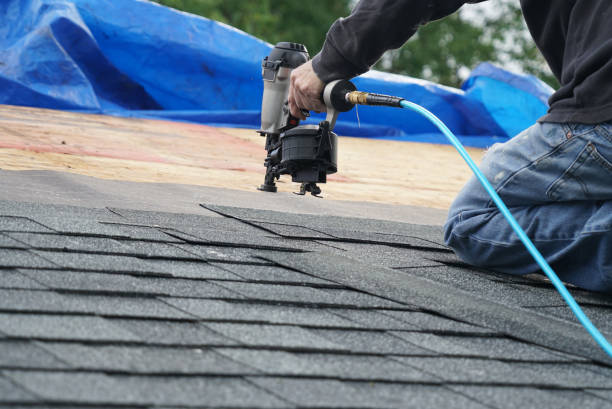Best Roof Gutter Cleaning  in Pleasanton, KS