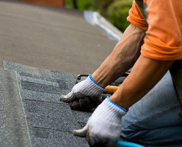 Best Roof Repair Services  in Pleasanton, KS