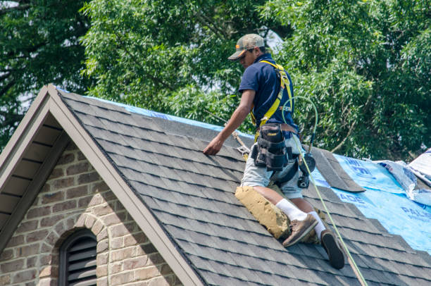 Best Flat Roof Repair Services  in Pleasanton, KS